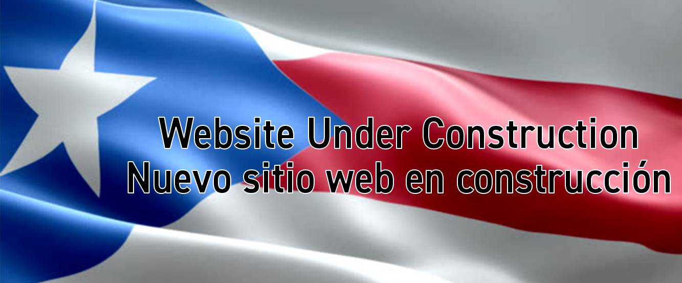 Website under construction with flag